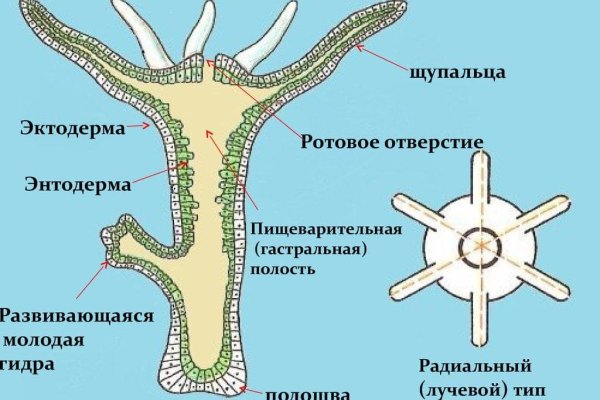 Ссылки зеркала на kraken kraken dark link