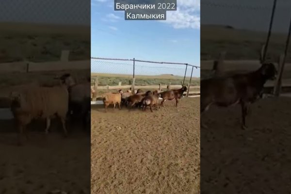 Ссылка на сайт кракен в тор браузере