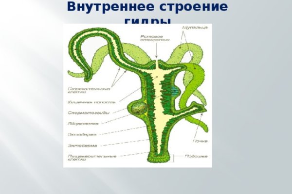 Кракен сс