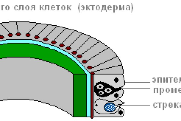 Kraken зеркало даркнет