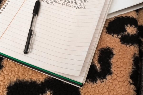 Что за приложение кракен