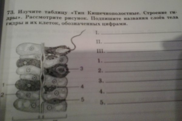 Как восстановить доступ к кракену