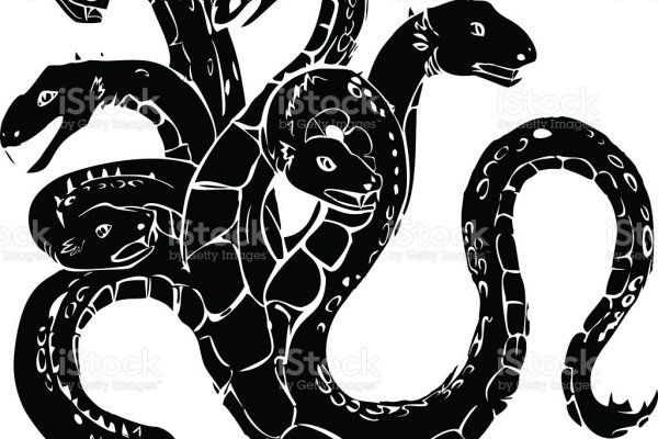 Kraken 25 at