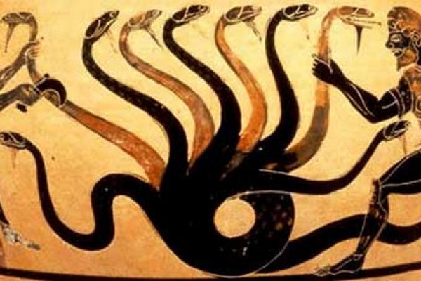 Kraken krn