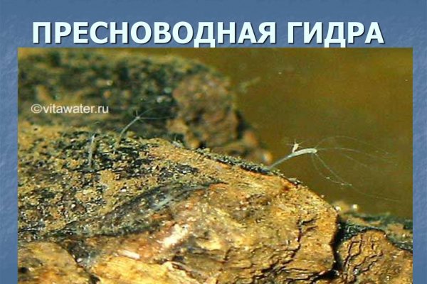 Кракен сайт store