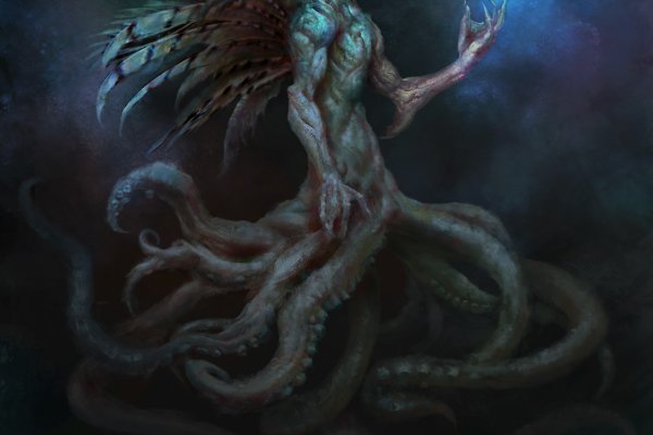 Kraken 12 at