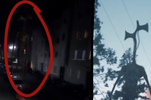 Мега зеркала тор онион мориарти кракен
