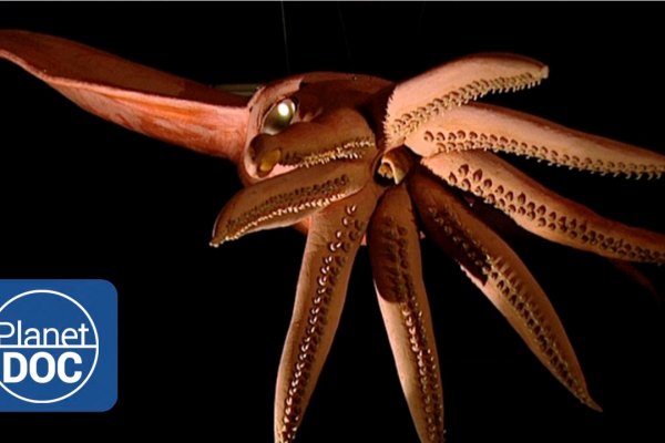 Kraken darknet marketplace