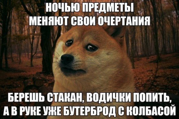 Зайти кракен через тор